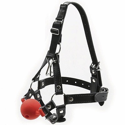 ���r�l�@�u�h�o���@�t�b�N�{�[���M���O�n�[�l�X�@�i�ԁj