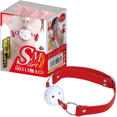 �r�l�������i�X�}�[�g�j�@�R�@��