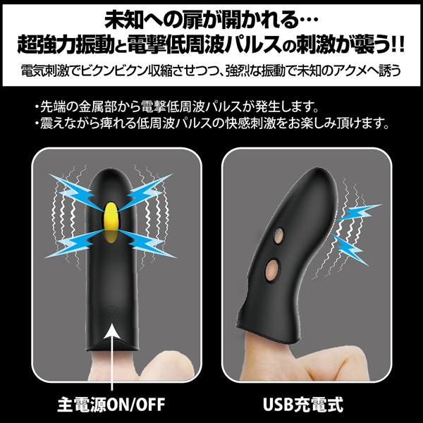 �v���e�B���u�@�i�G���N�g���b�N�V���b�N�p���X�t�B���K�[�X���[�u�j