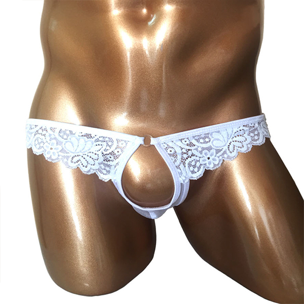 �a�����c���������@�Əo���z�[�����[�X�V���[�c�@�z���C�g