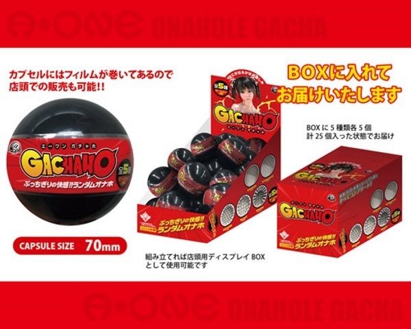 �G�[�����K�`���z�a�n�w�@�Q�T�Z�b�g