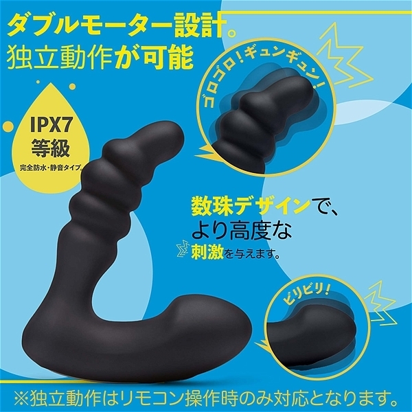 �a�k�t�d�@���������@�o�q�n�c�c�d�q�i�v���b�_�[�j