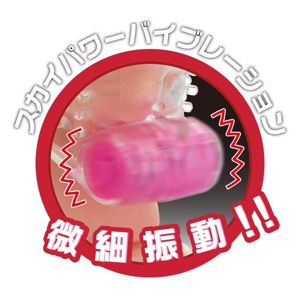 �X�^�[�v���`�i�@�i�h���S���j