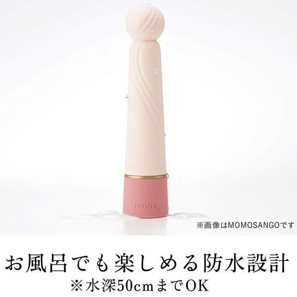 �����������i�C���n�j�@�v���W���[�E�A�C�e���E�����{�@�i�t�l�d�g�h�r�t�h�j