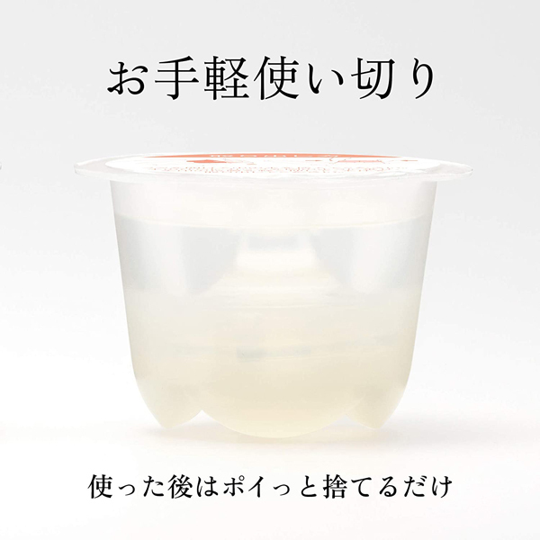 �����������i�C���n�j�@�v���W���[�E�A�C�e���E�v�`�@�i�r�g�d�k�k�j