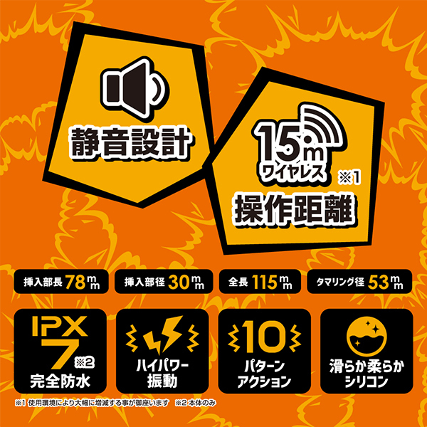 ���炵���[�^�[�@�i���q�̐���ۗp�j