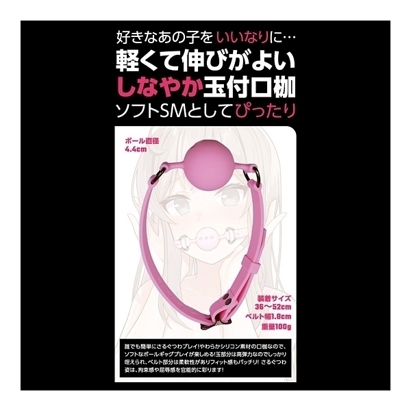 �r�l�V���R���ʕt���g�@�i�o�h�m�j�j