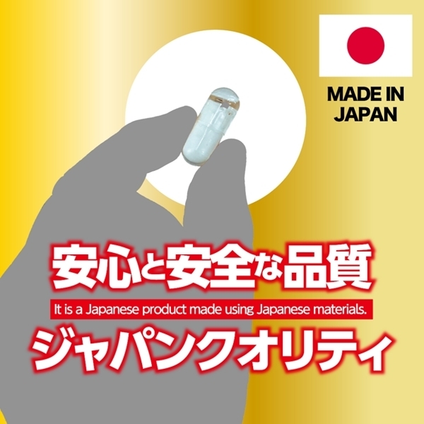 ���C�L���E���V�@�ԊL�Ⓒ��������������