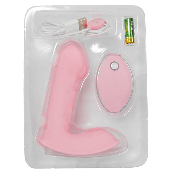 ���������@�f�@�k�����������@�o�����������@�i�s���N�j